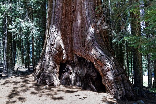 Национальный Парк Йосемити. Особенности географии и трафика. Yosemite NP, USA
