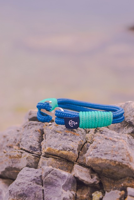 Free Bracelet Sea photo and picture