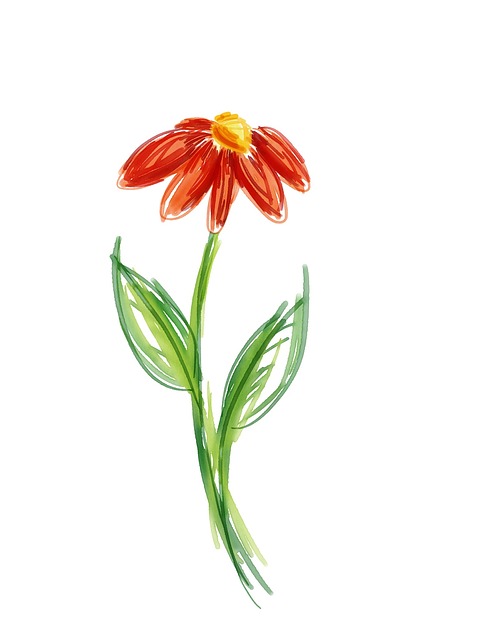 Free Flower Nature illustration and picture
