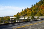 autumn, fall leaves, season