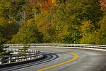 autumn, fall leaves, season