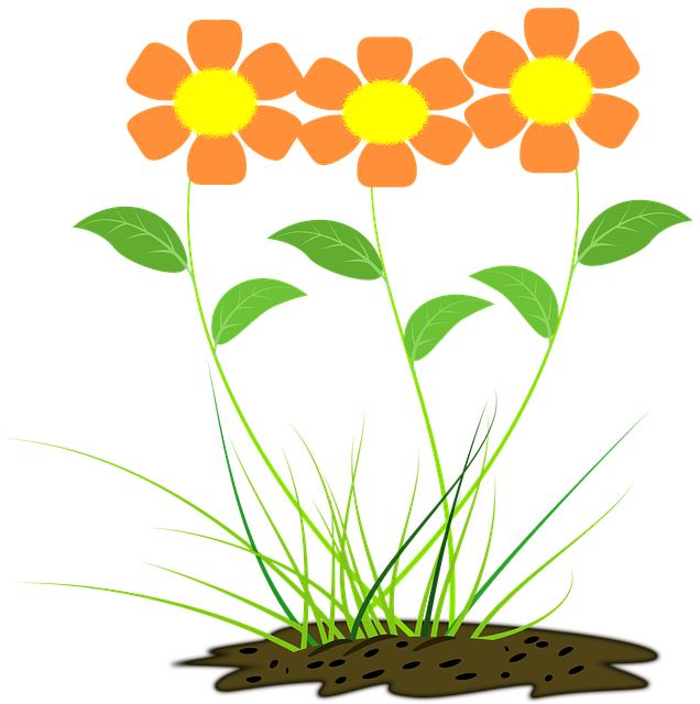 Blume, Orange, Natur, Orangene Blume