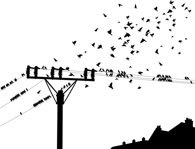 Free birds the flight of birds pole vector