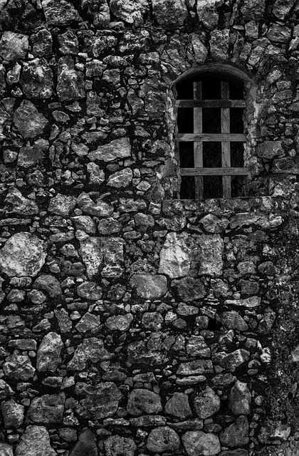 Free Window Cell photo and picture