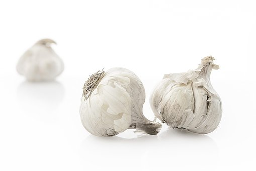 Free Garlic Vegetables photo and picture