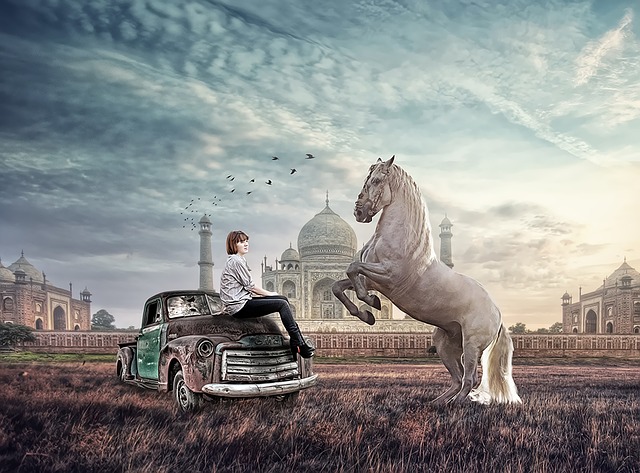 Free horse imaginary girl illustration