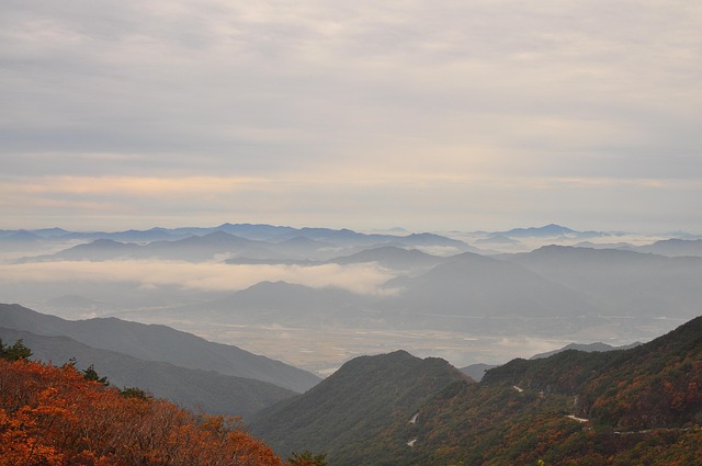Free Fall Mountain Vista photo and picture