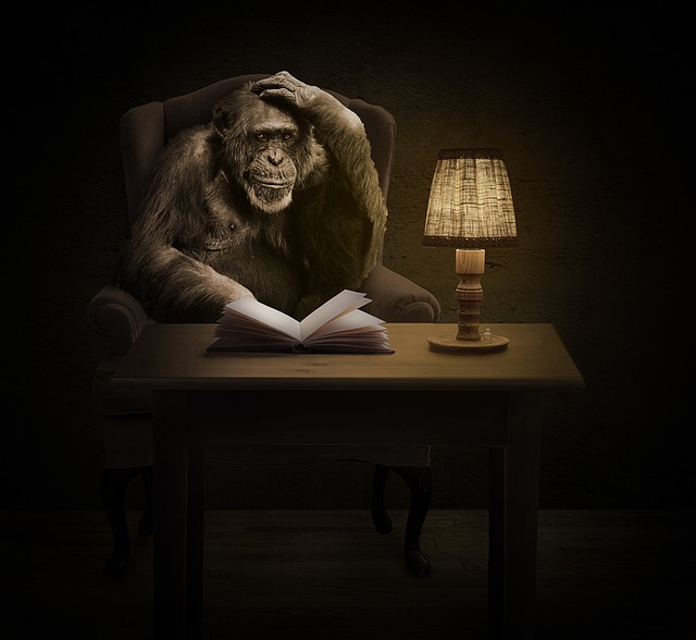 Free Ape Chimpanzee photo and picture