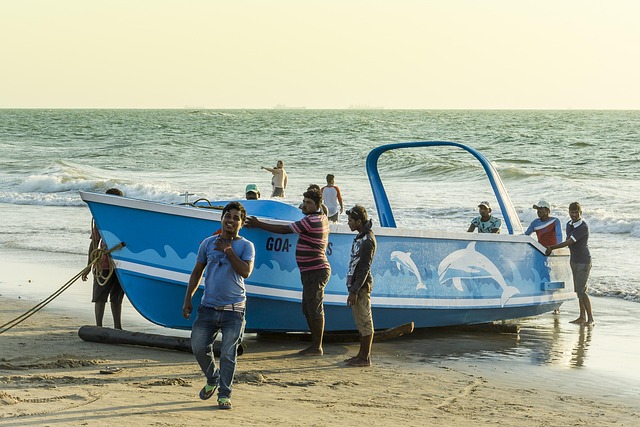 Free Goa Ocean photo and picture