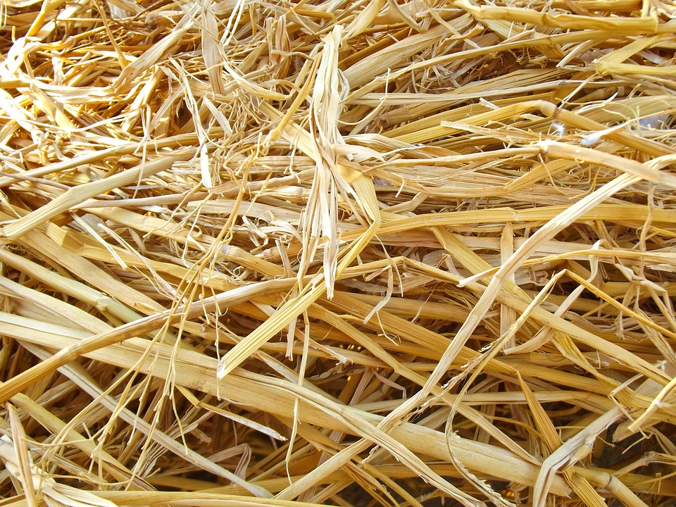 hay dried up natural