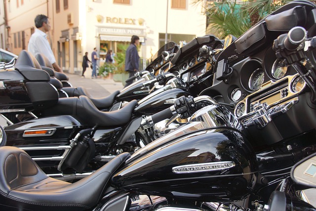 Harley Davidson, Motorcykel, Sadeltasker