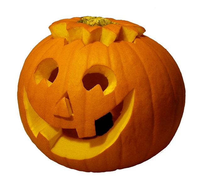 Free Pumpkin Halloween photo and picture
