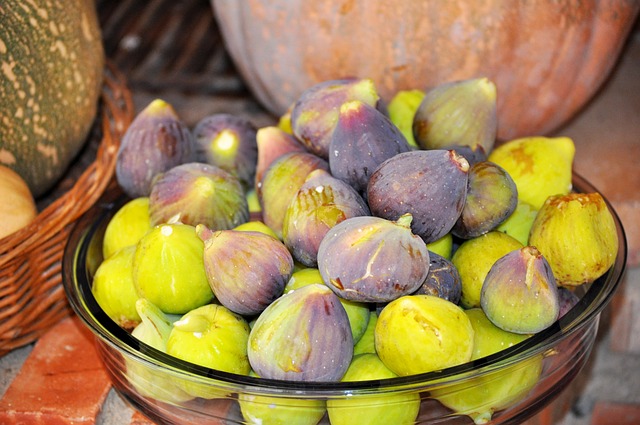 Free Figs Harvest photo and picture
