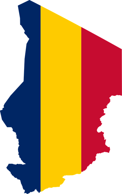 Free chad flag map vector