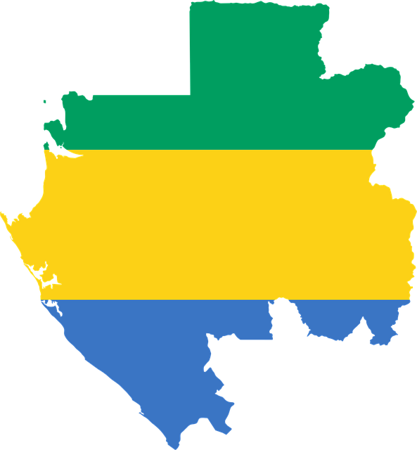 Free gabon flag map vector