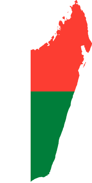 Free madagascar flag map illustration