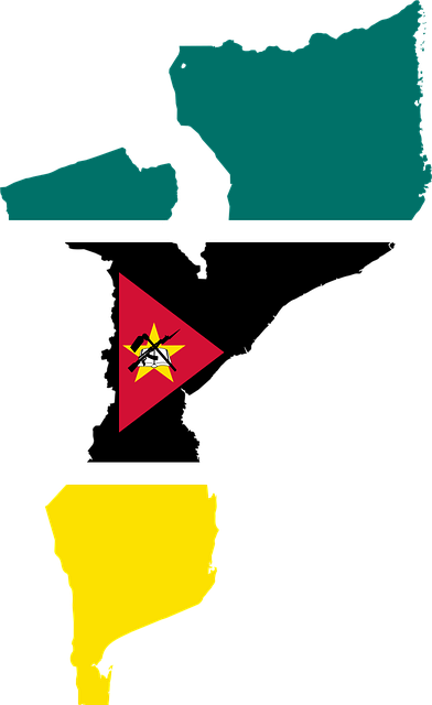 Free mozambique flag map illustration