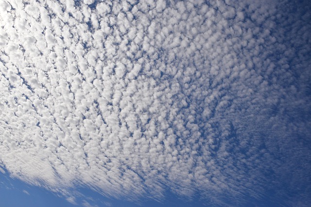 Free Sky Blue photo and picture