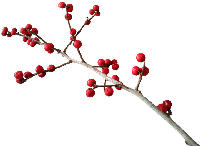 Free Christmas Deco photo and picture