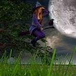 the witch, broom, halloween