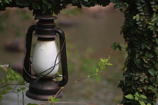 Free Lamp Decoration photo and picture