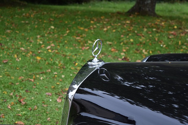 Free Automobile Mercedes photo and picture