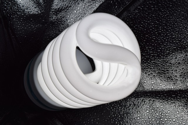 Free Lamp Light photo and picture