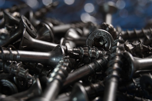 Free Screw Torx photo and picture