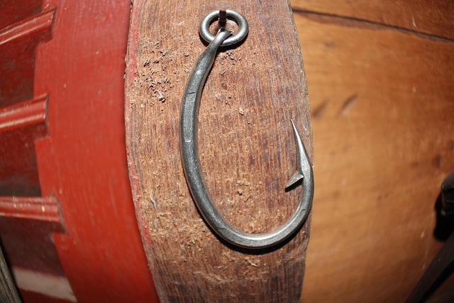 Free Hook Fish photo and picture