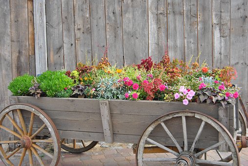 Free Farm Yard Fall photo and picture