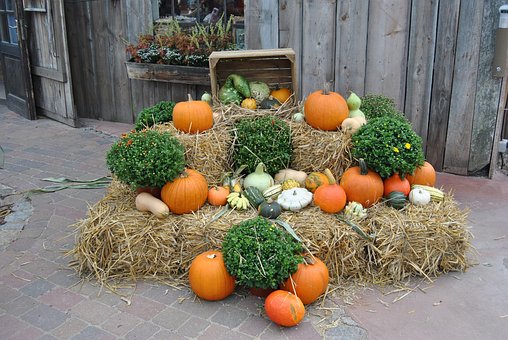 Free Pumpkins Deco photo and picture