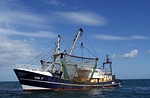 sea, trawler, boat