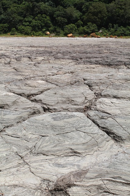 Free Drought Dried photo and picture