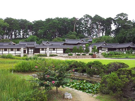 Free Hanok Lotus photo and picture