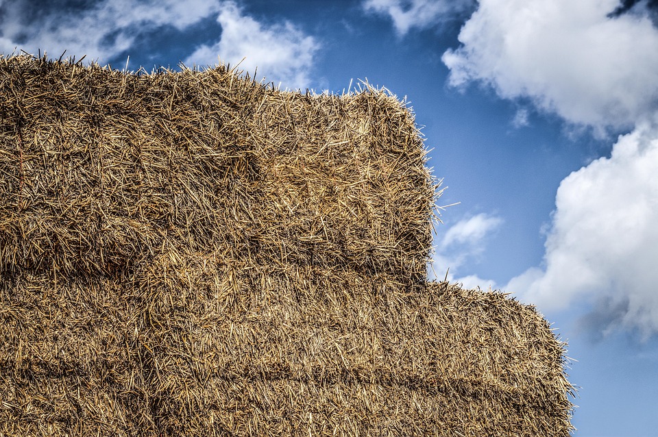 Straw Packs