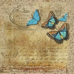 butterfly, vintage, handwritten