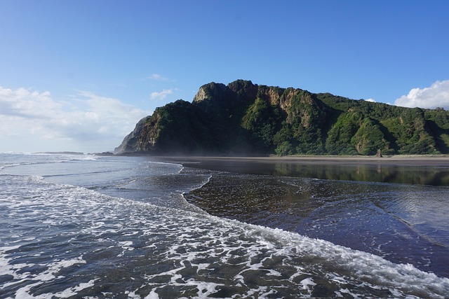 Free Shore Water photo and picture