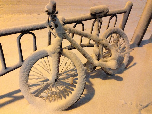 Free Winter Snow photo and picture