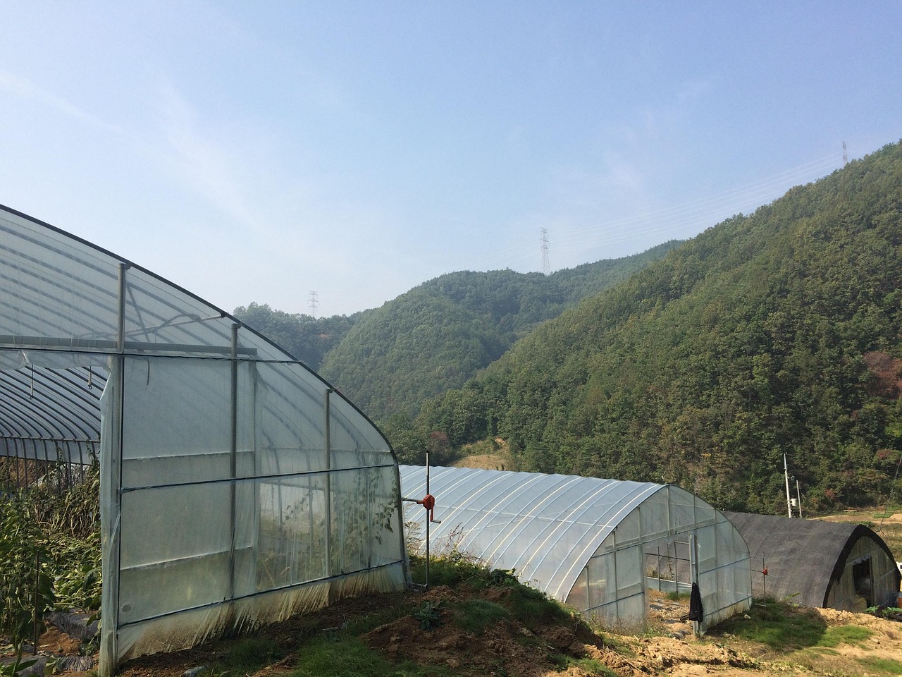 Plastic Greenhouse Country Sky Of Free photo on Pixabay Pixabay
