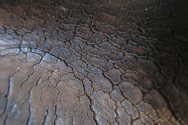 Free Leather Cracked photo and picture