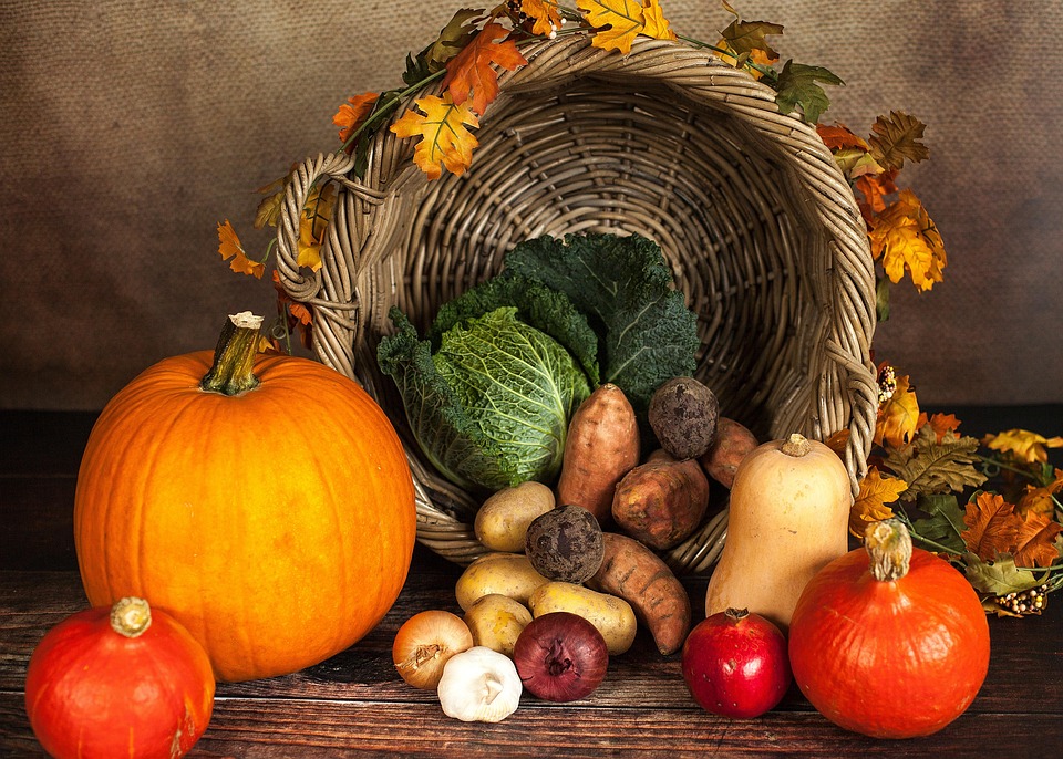 Pompoen, Fruit, Herfst, Thanksgiving Mand, Dankzegging