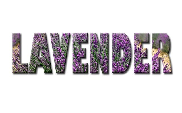 Free lavender text nature illustration