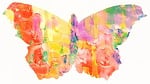 watercolour, watercolor, paint