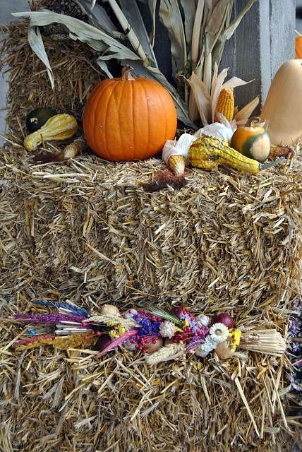 Free Fall Straw photo and picture