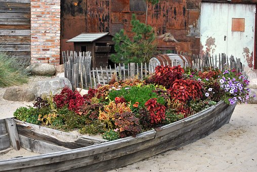 Free Plants Fall photo and picture