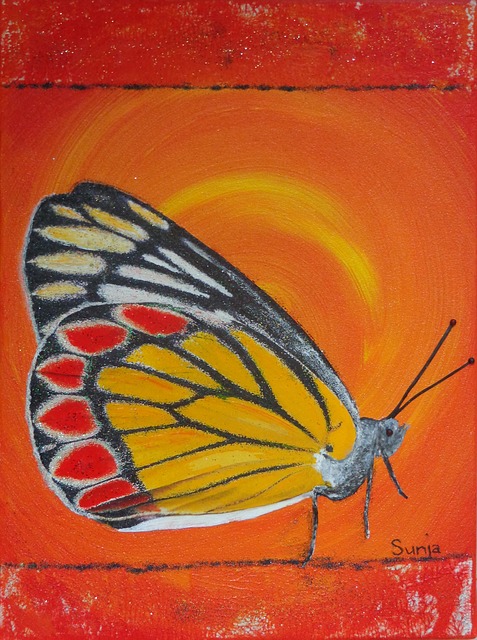 Free butterfly orange gonepteryx rhamni illustration
