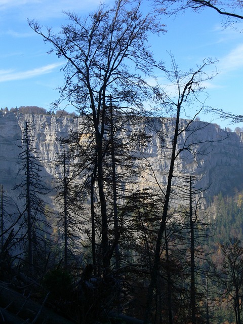 Free Landscape Mountain photo and picture