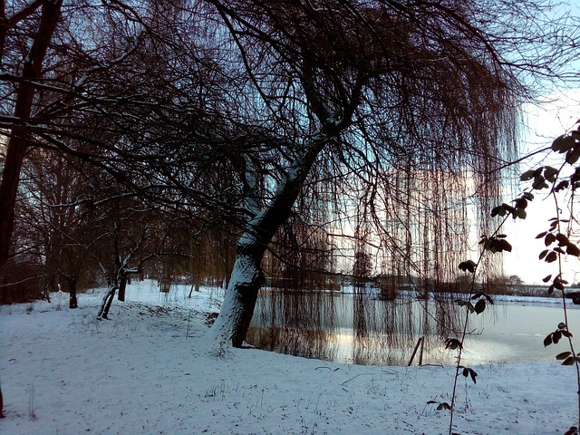 Free Winter Lake photo and picture