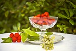 arbutus, flower, winter flower