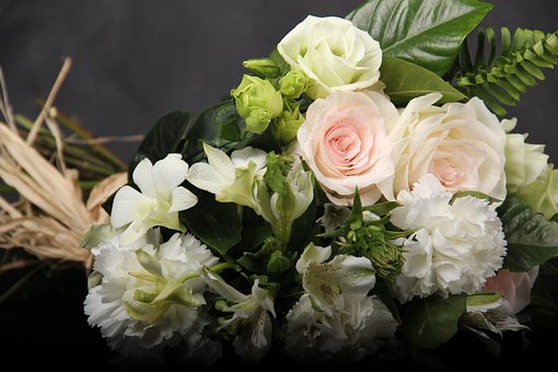 Free Flowers Grace photo and picture